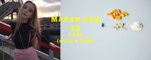 крисы Вязьма