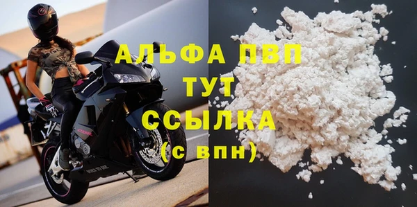 сатива Кукмор