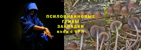 крисы Вязьма
