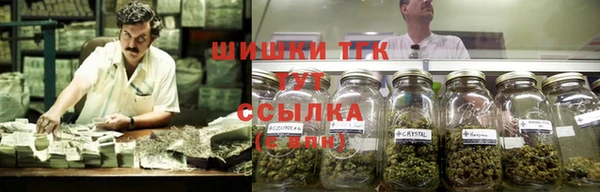хмурый Вяземский