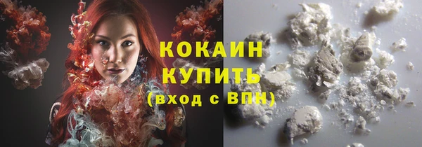 шишки Остров